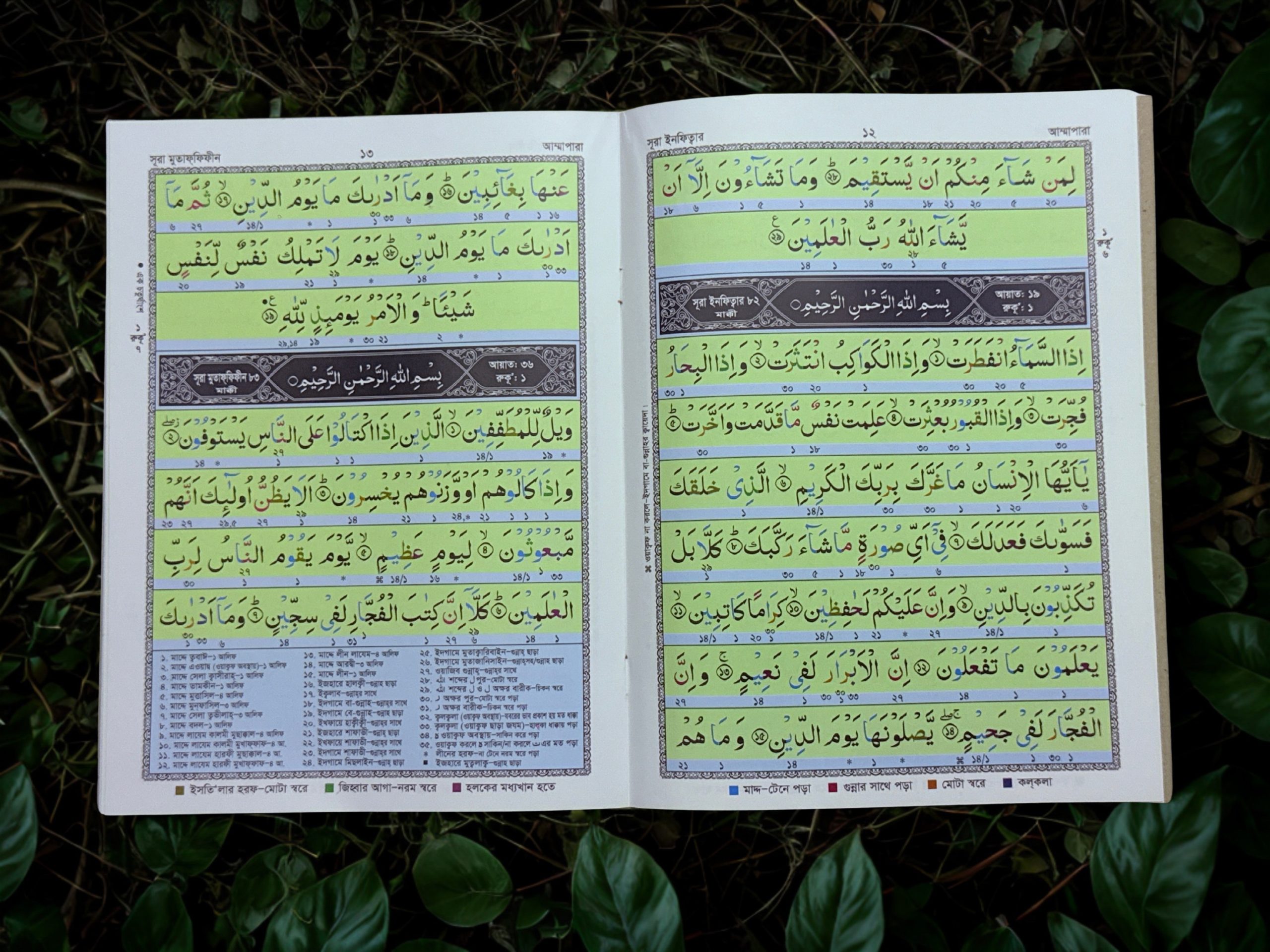 80783597-0297-42fa-8e20-4